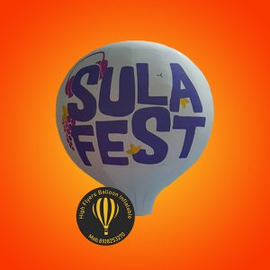 Inflatable Advertising Balloon 17