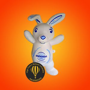 Inflatable Advertising Balloon 13