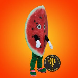 Customise Mascot Costume 5