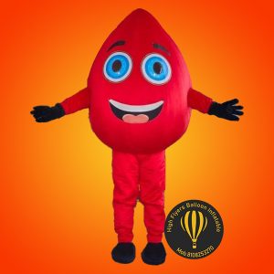 Customise Mascot Costume 4