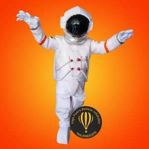 Customise Mascot Costume 3