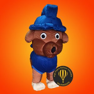 Customise Mascot Costume 1