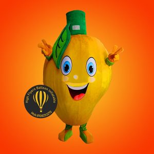 Customise Mascot Costume 8