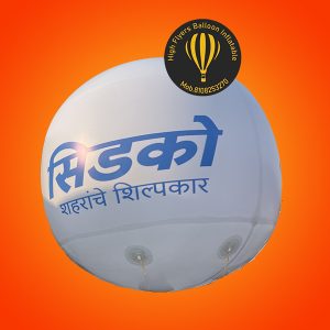 Sky Advertising Balloons 15