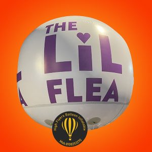 Sky Advertising Balloons 13